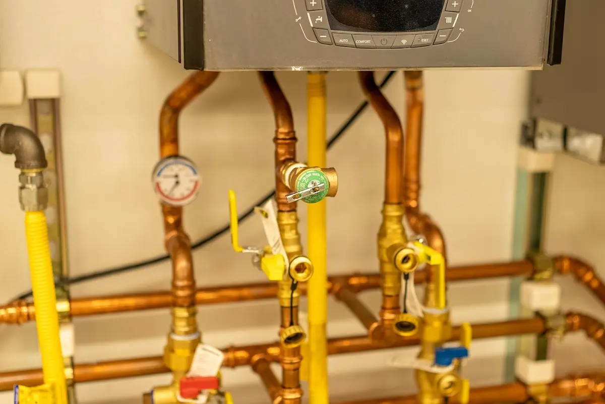 Licensed technician providing Emergency Plumbing for a homeowner in Birch Bay